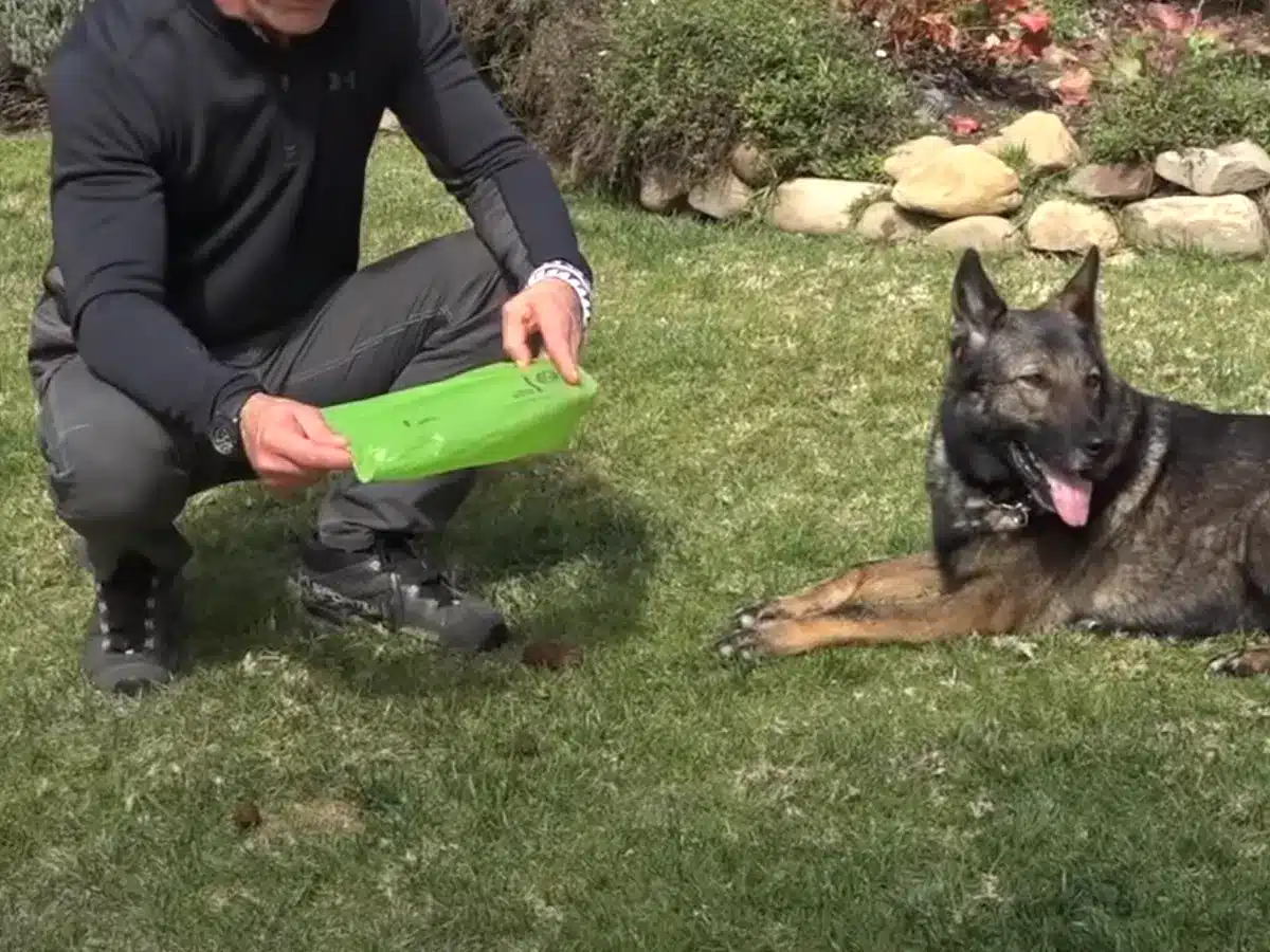 Man met hond en poepzakjes